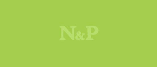 We could not review N&P Garden Services highly enough!