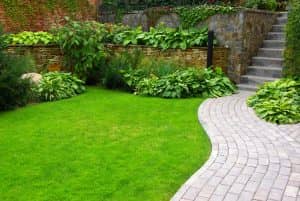 Garden Stone Path With Grass