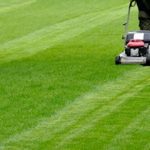 Grass Maintenance