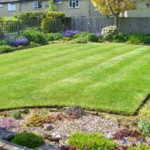 Lawn Care