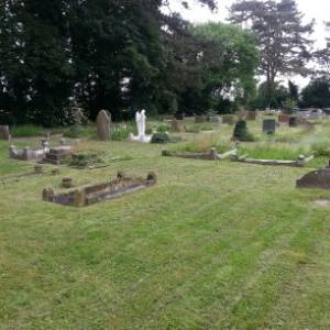 Turfing and Lawn Care