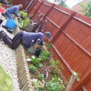 Border Planting